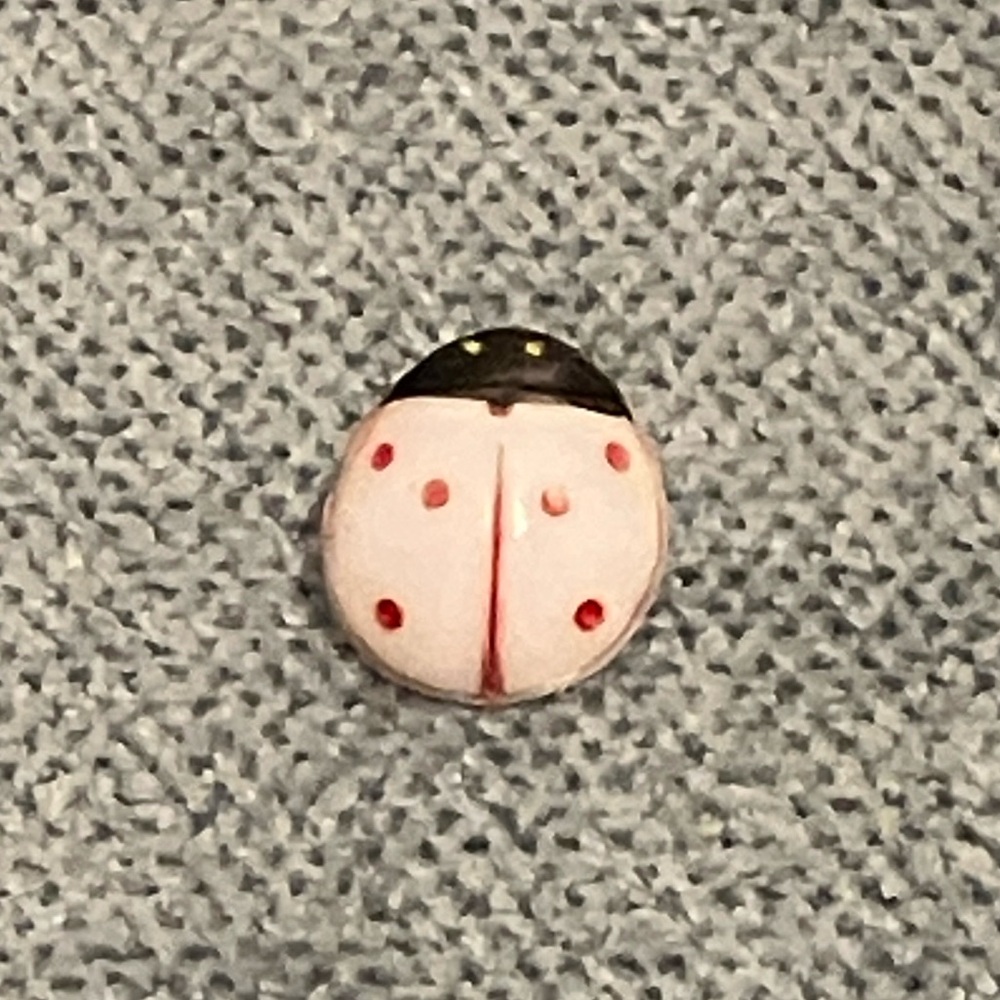 Ladybug Button